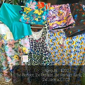 Plus-size Closet in A Box - Sprouts